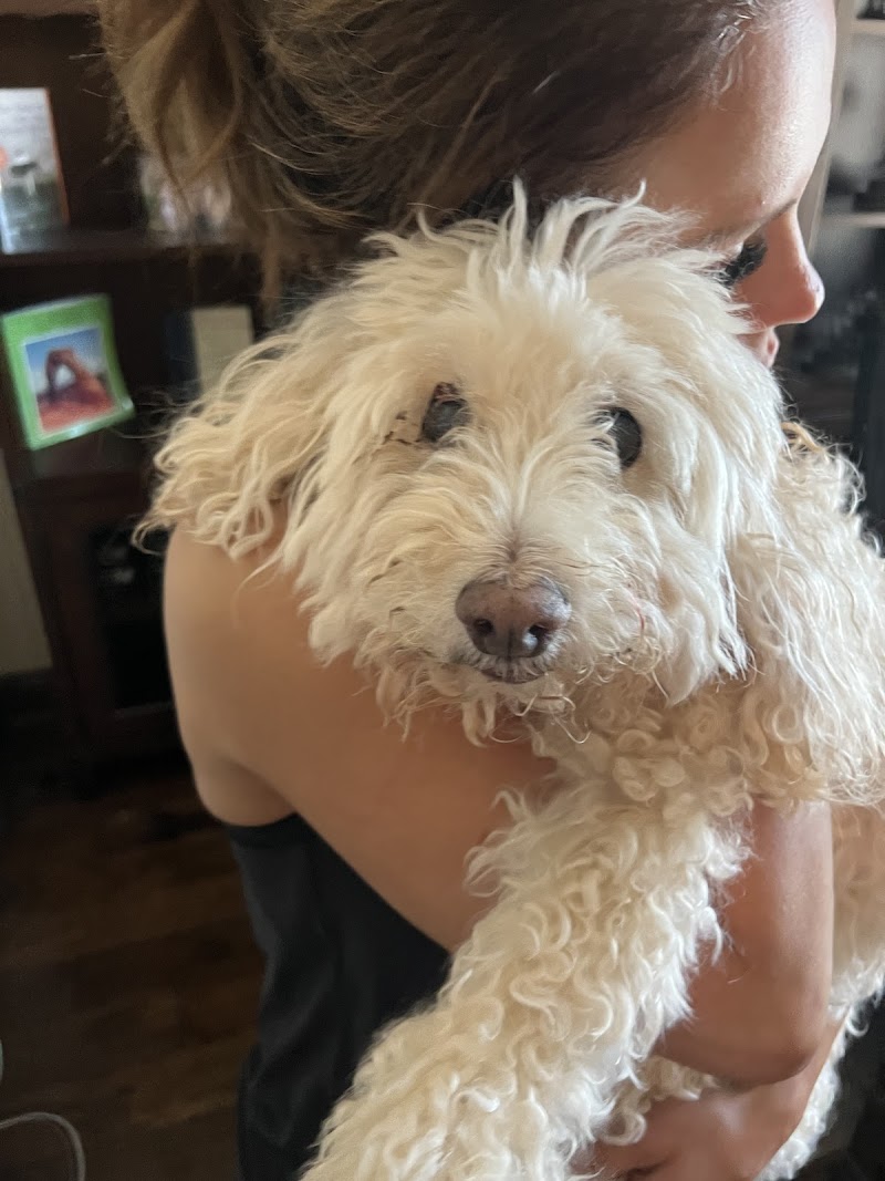 Dallas Veterinary Hospice