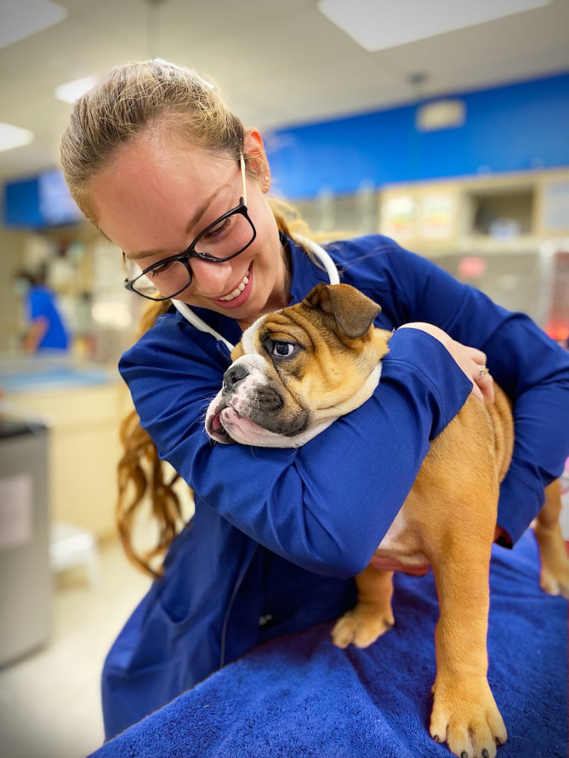 Miami Veterinary Specialists
