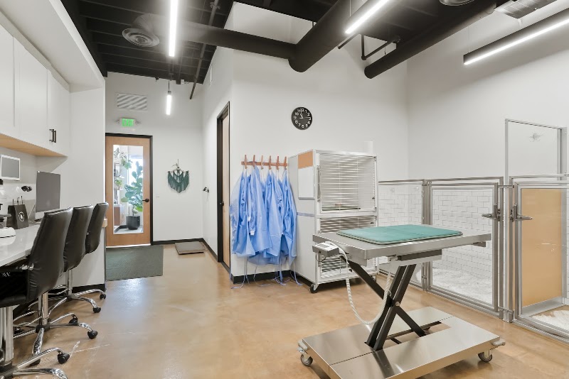 TREELINE VETERINARY CANCER CARE