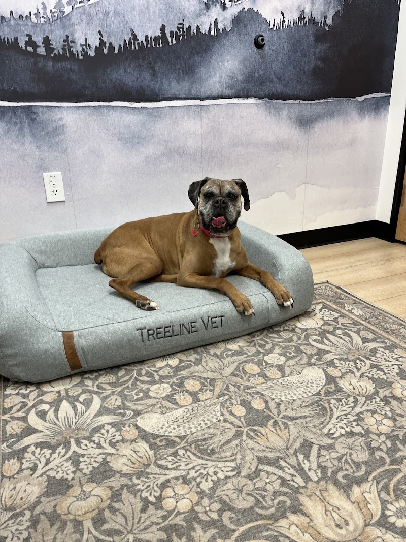 TREELINE VETERINARY CANCER CARE