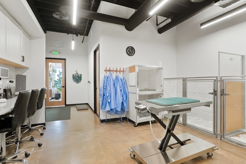 TREELINE VETERINARY CANCER CARE