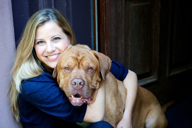 TREELINE VETERINARY CANCER CARE - Boulder, CO