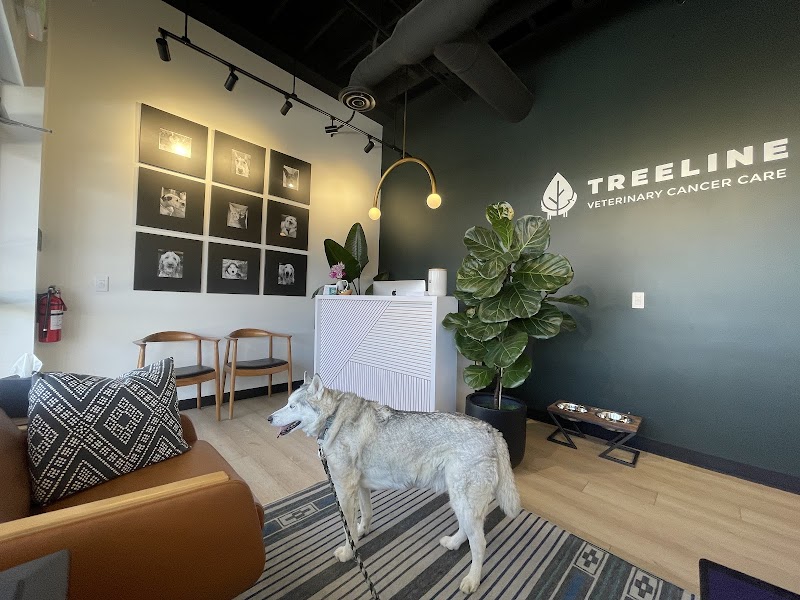 TREELINE VETERINARY CANCER CARE