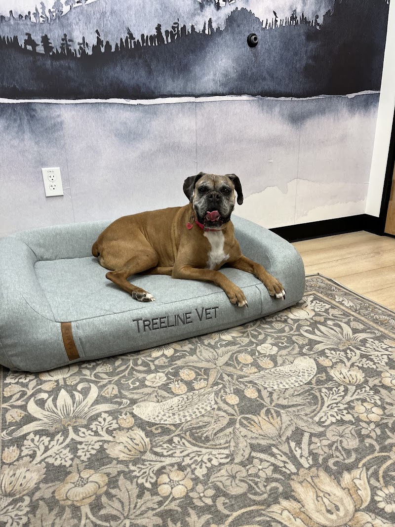 TREELINE VETERINARY CANCER CARE
