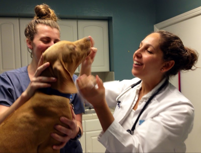 Windan' Sea Veterinary Clinic