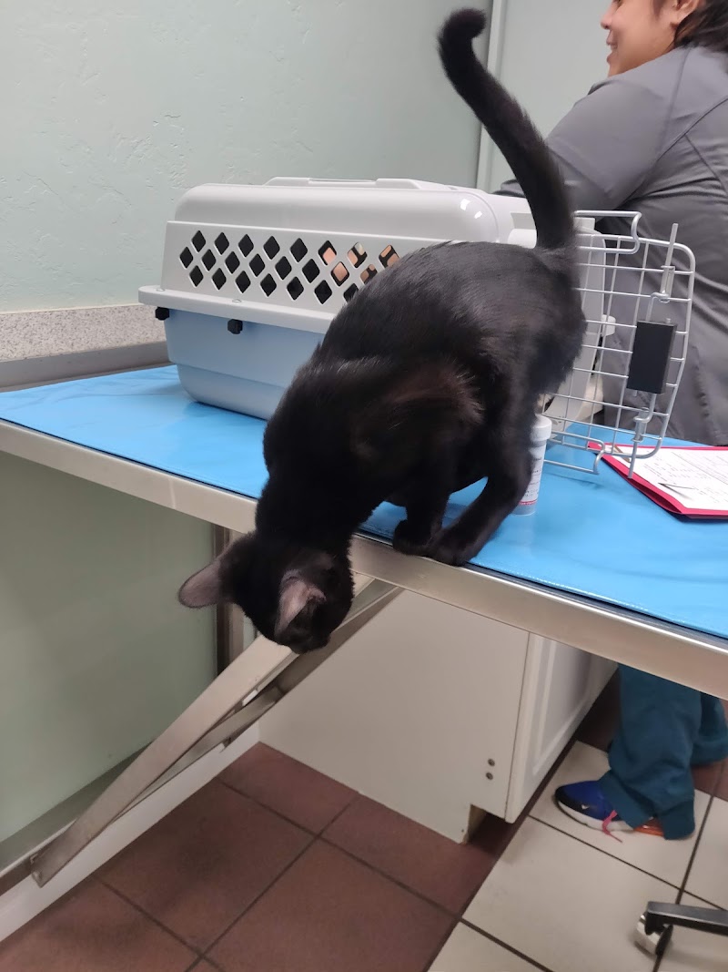 Windan' Sea Veterinary Clinic