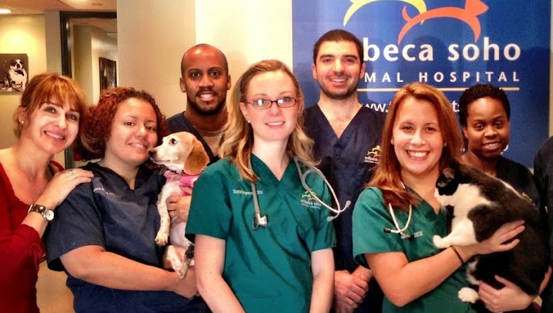 Tribeca Soho Animal Hospital