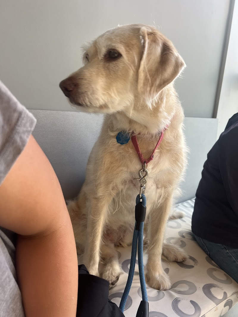 Tribeca Soho Animal Hospital