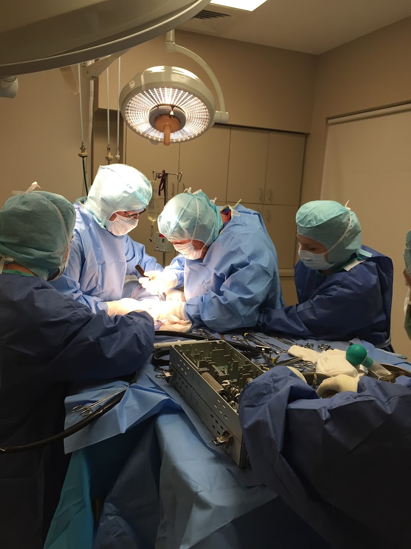 Southwest Veterinary Surgical Service, PC