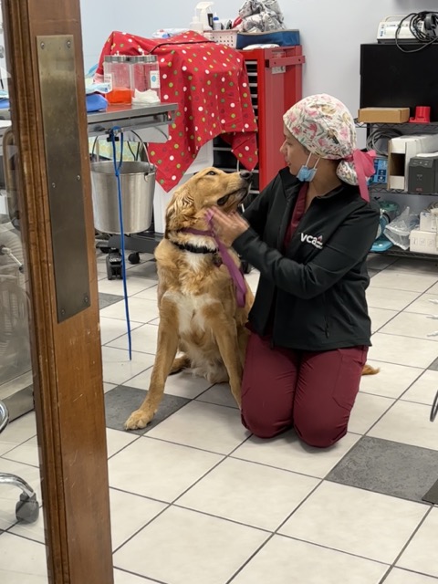 VCA Preston Park Animal Hospital