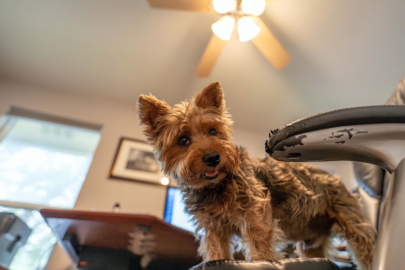 Northwest Austin Veterinary Center