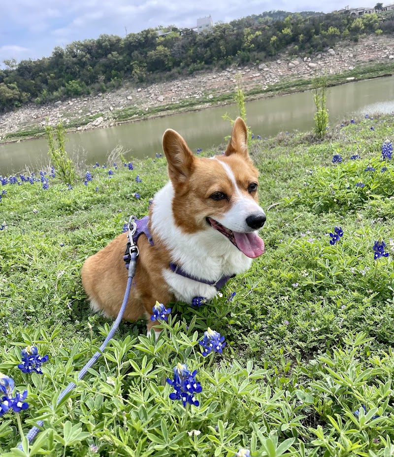 Northwest Austin Veterinary Center