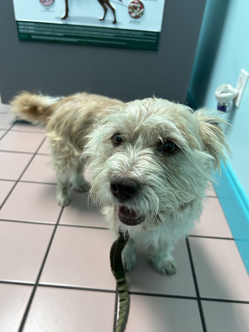 Northwest Austin Veterinary Center