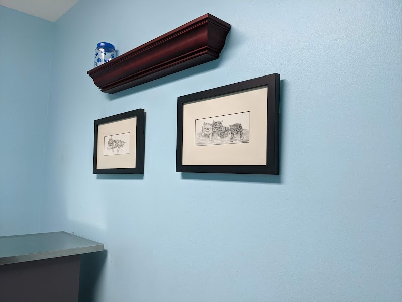 Northwest Austin Veterinary: Boston Billie DVM