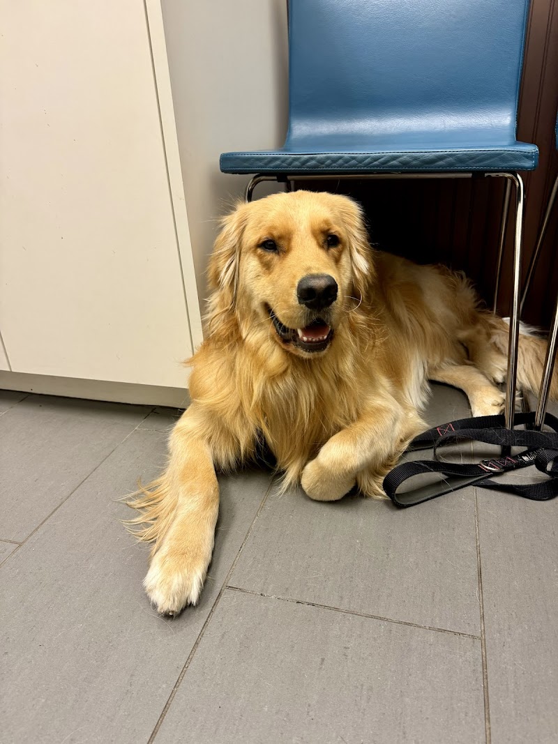 Highland Park Animal Hospital