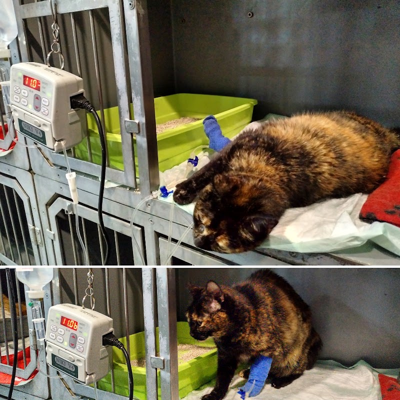 Hospital Veterinari Montjuïc
