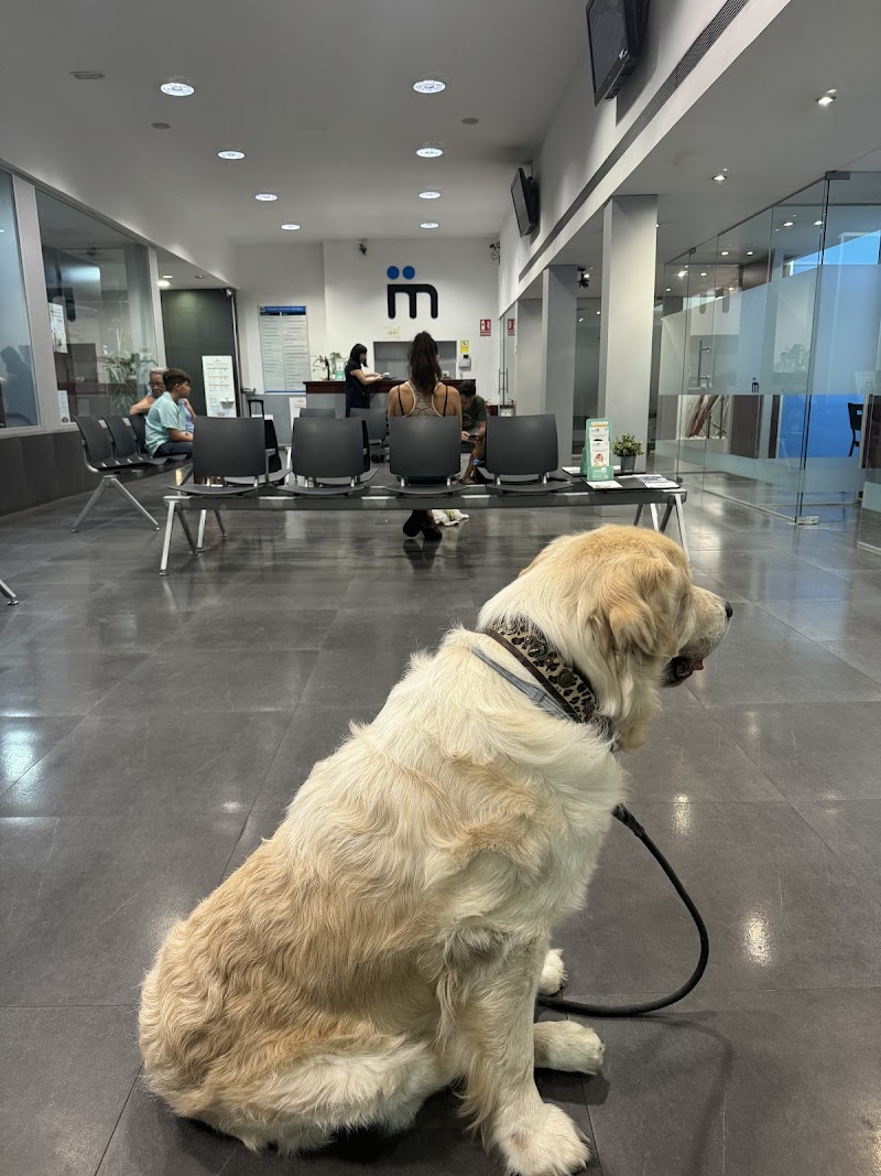 Hospital Veterinari Montjuïc
