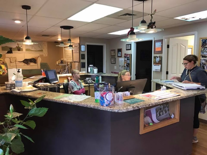 North Shore Animal Hospital