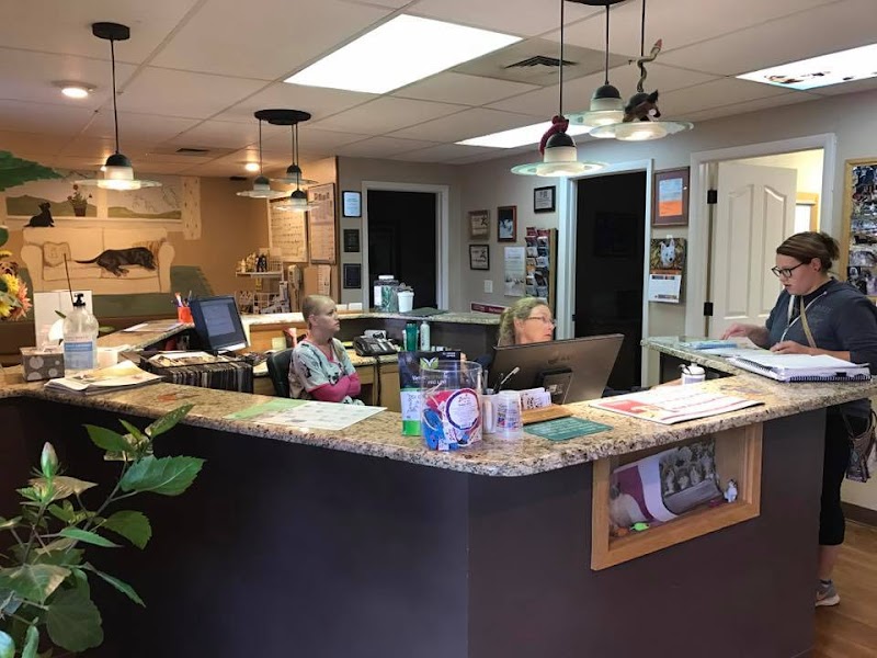 North Shore Animal Hospital