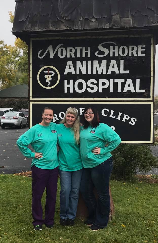 North Shore Animal Hospital