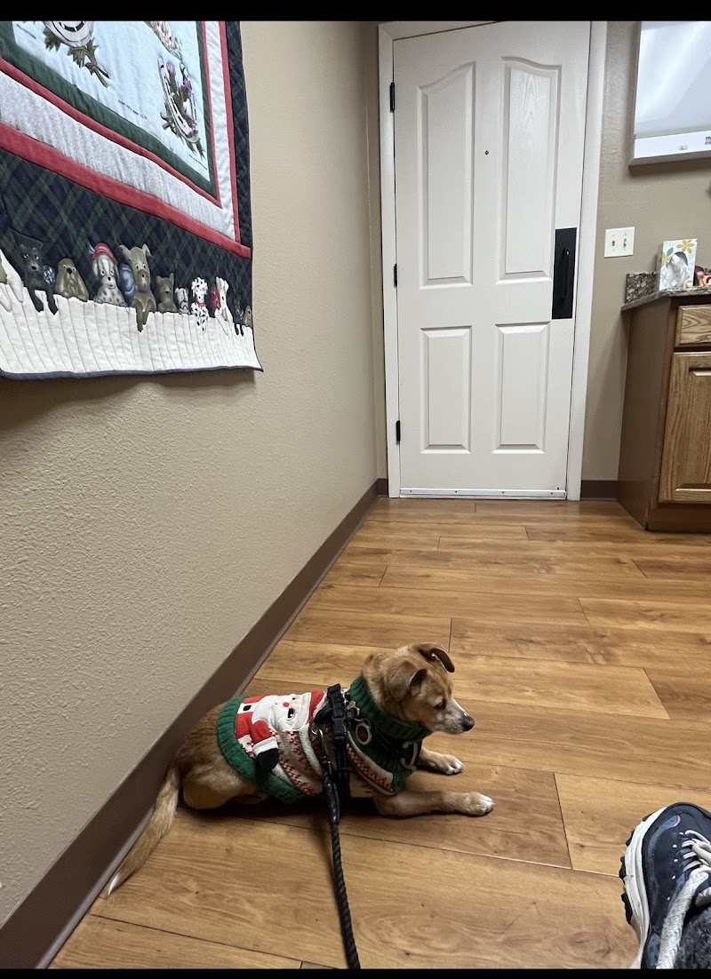 North Shore Animal Hospital