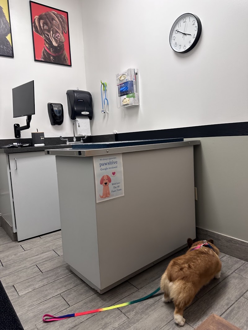 All Paws Animal Hospital