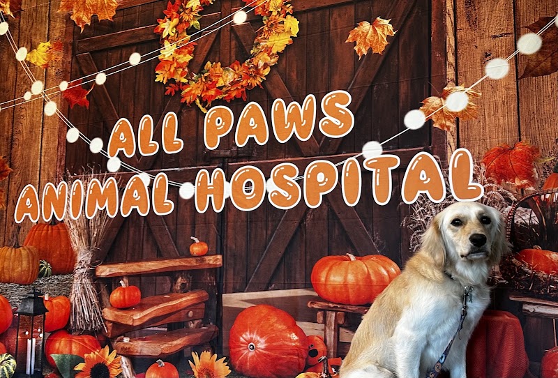 All Paws Animal Hospital