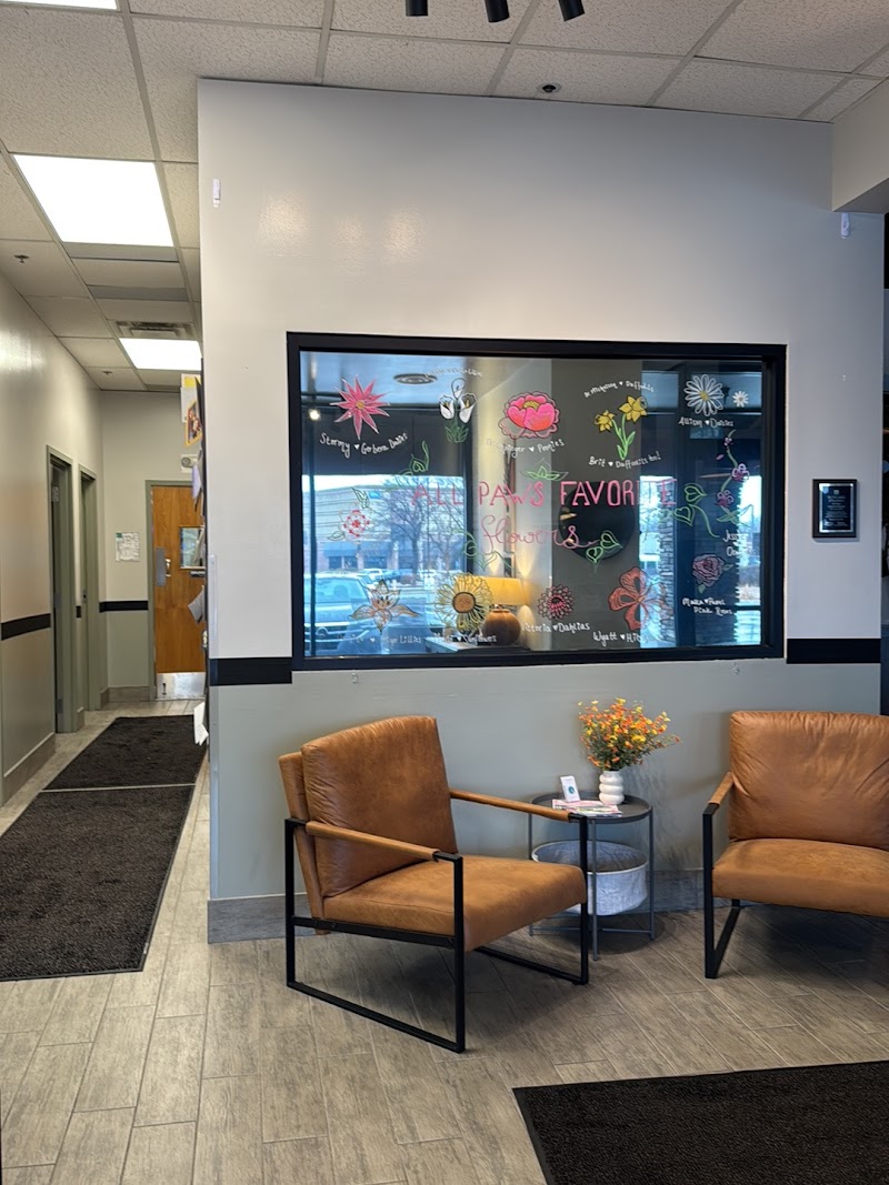 All Paws Animal Hospital
