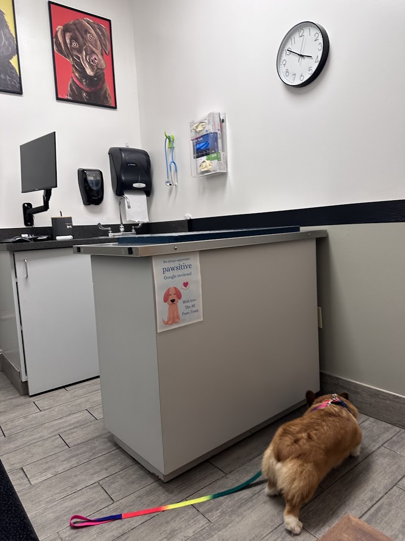 All Paws Animal Hospital