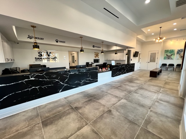 San Antonio Veterinary Specialists