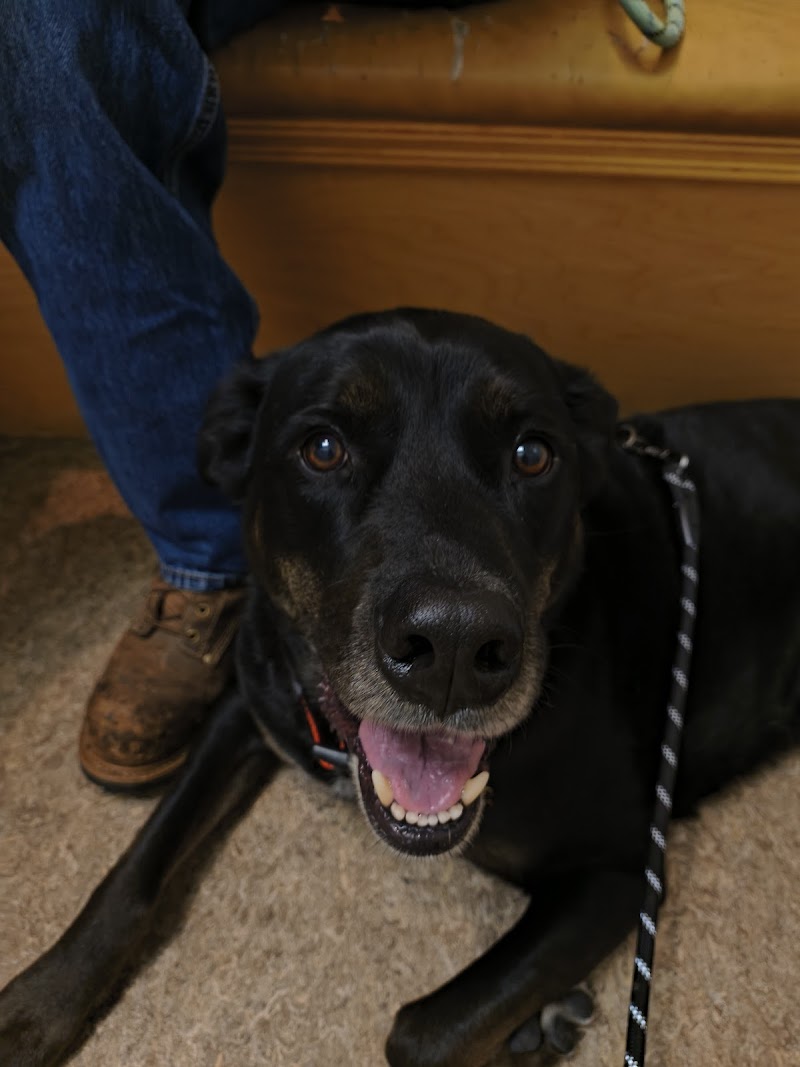 Hampden Family Pet Hospital