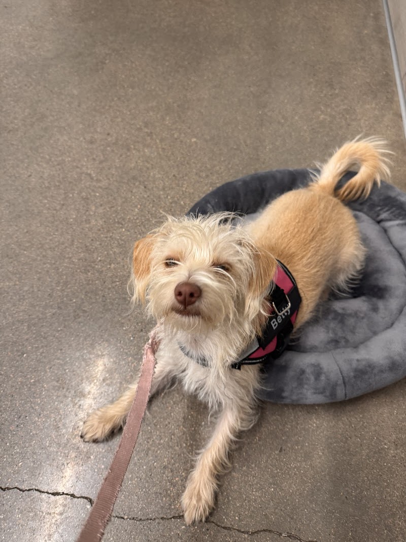 Hampden Family Pet Hospital