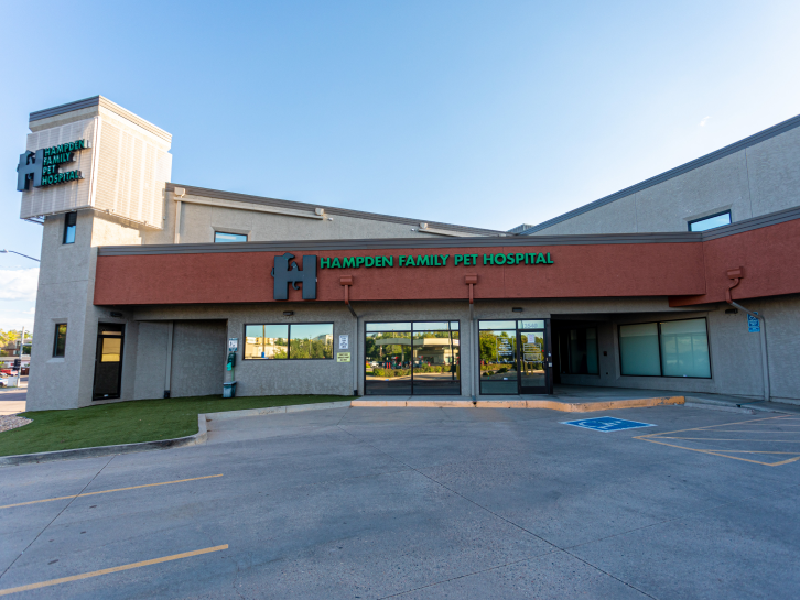 Hampden Family Pet Hospital
