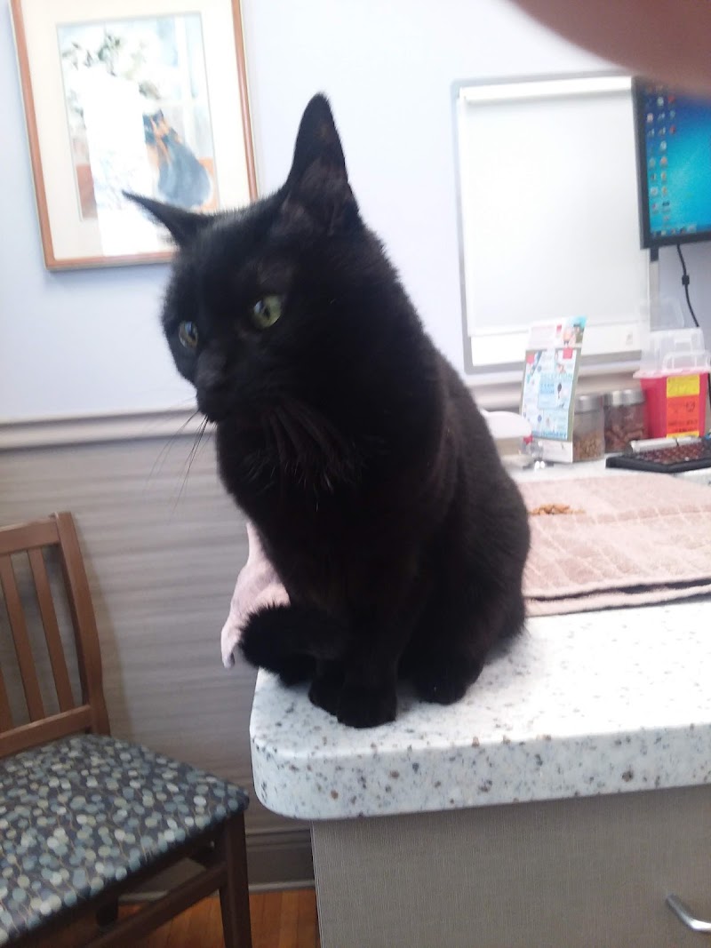 Grand Avenue Veterinary Center