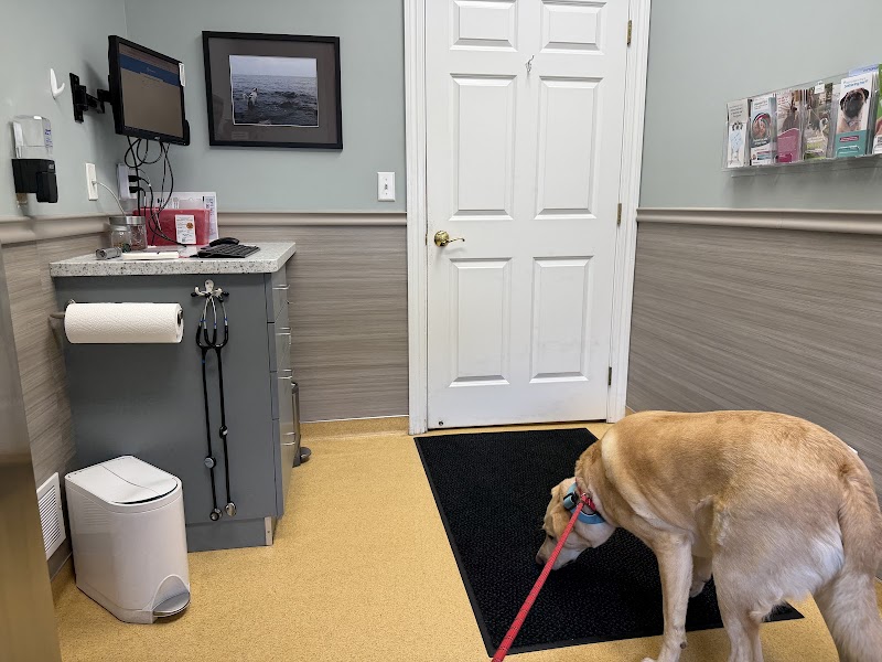 Grand Avenue Veterinary Center