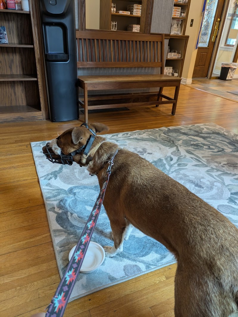 Grand Avenue Veterinary Center