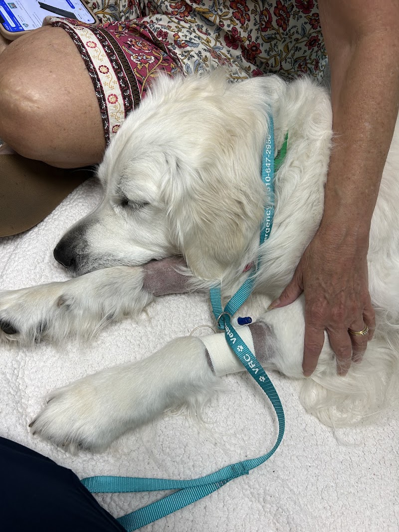 Veterinary Referral Center
