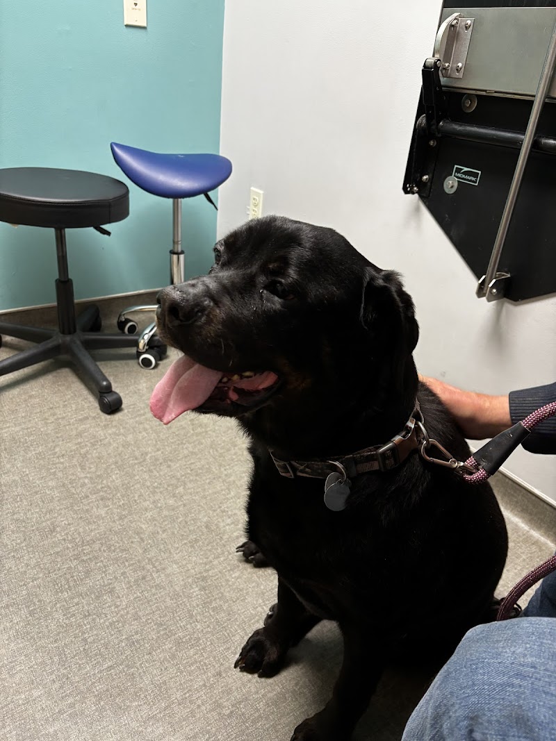 Veterinary Referral Center