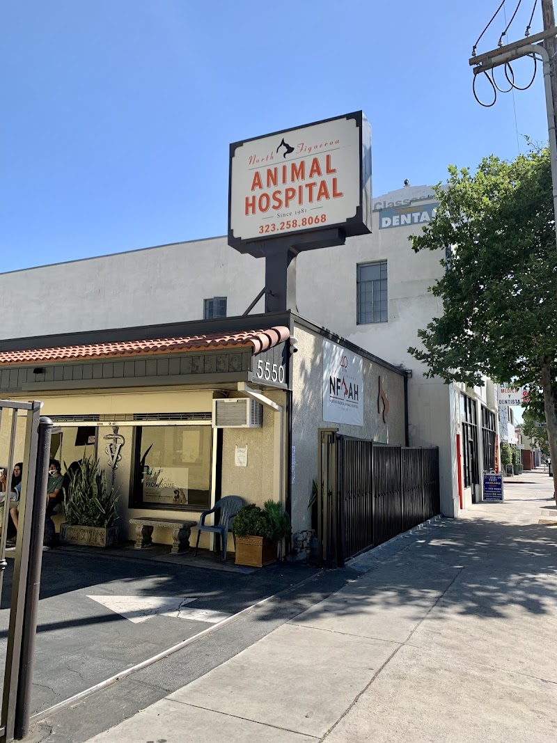 North Figueroa Animal Hospital
