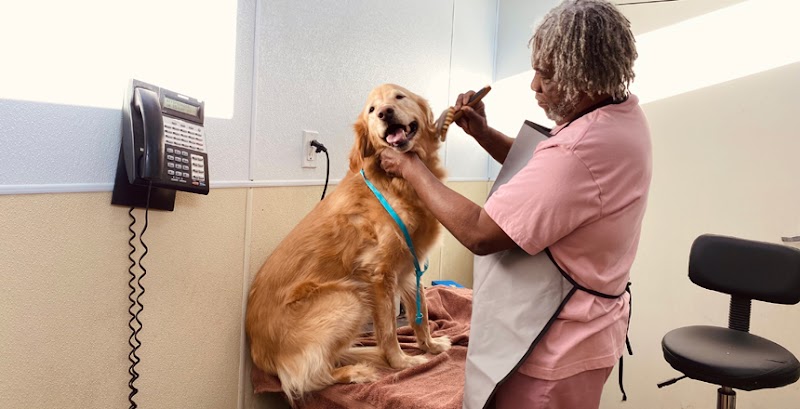 Animal Hospital of Westover Hills