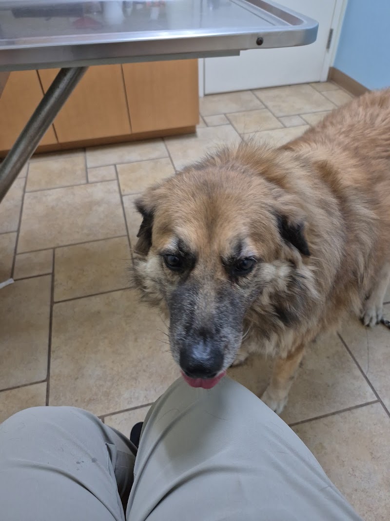 Animal Hospital of Westover Hills