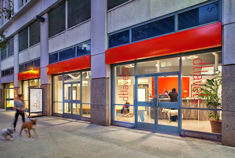 DTLAvets - Wellness and Urgent Care Services