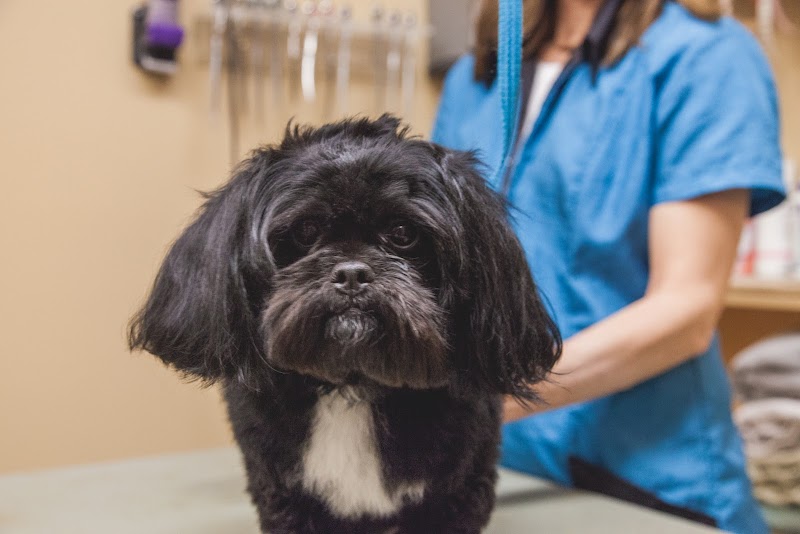 Heritage Animal Hospital of Plymouth & Maple Grove