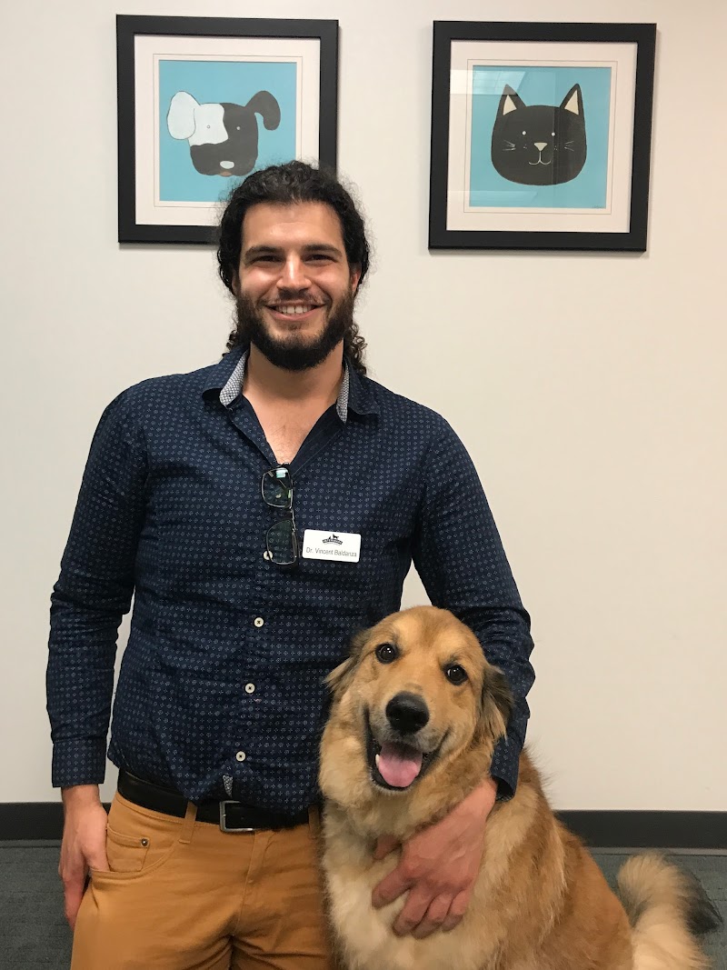 Veterinary Cancer Group SB, A Thrive Pet Healthcare Partner