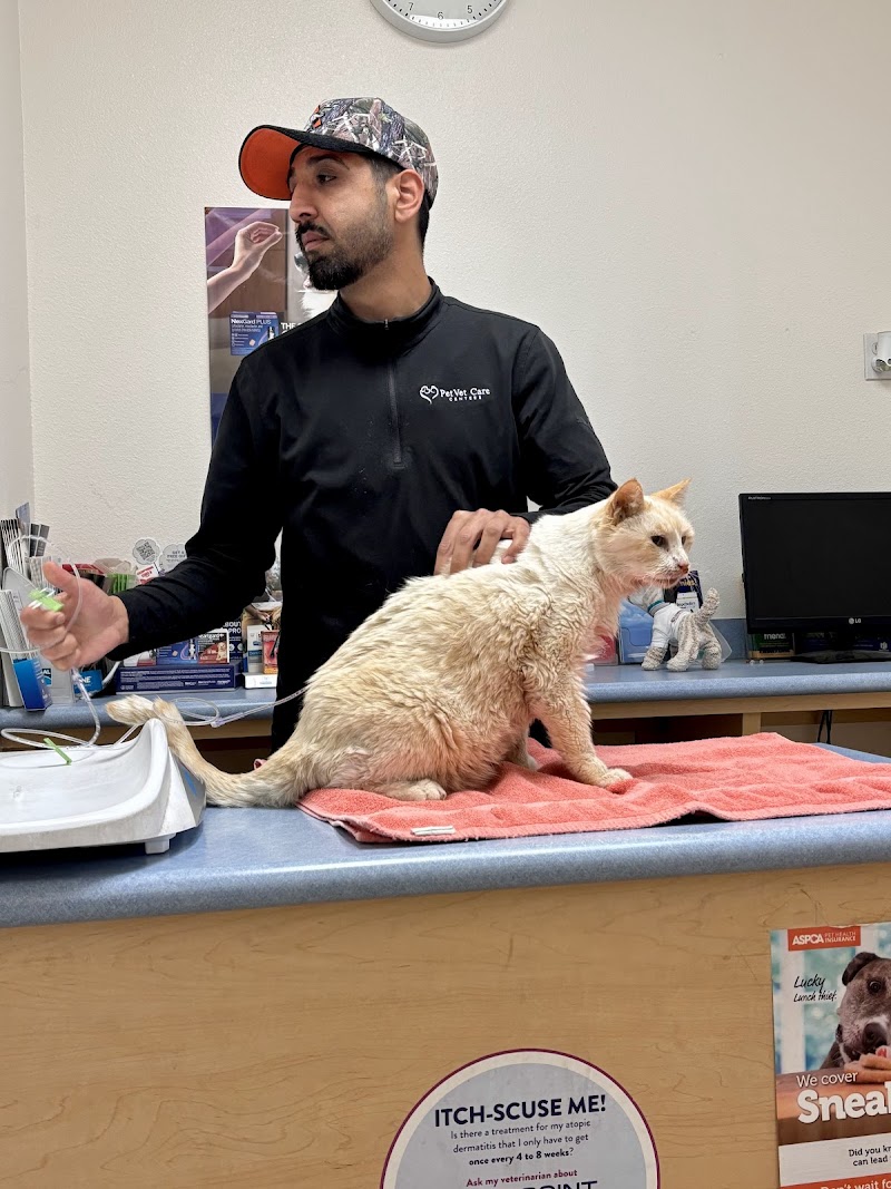 Bloom Plaza Animal Hospital