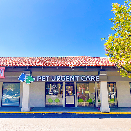 Pet Urgent Care