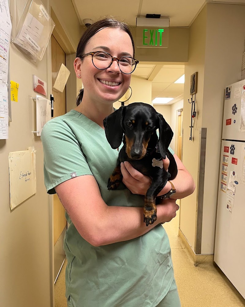 Boston Animal Hospital