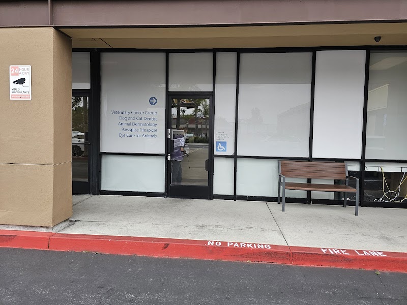 Veterinary Cancer Group of San Fernando Valley