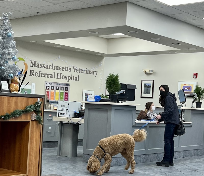 Massachusetts Veterinary Referral Hospital