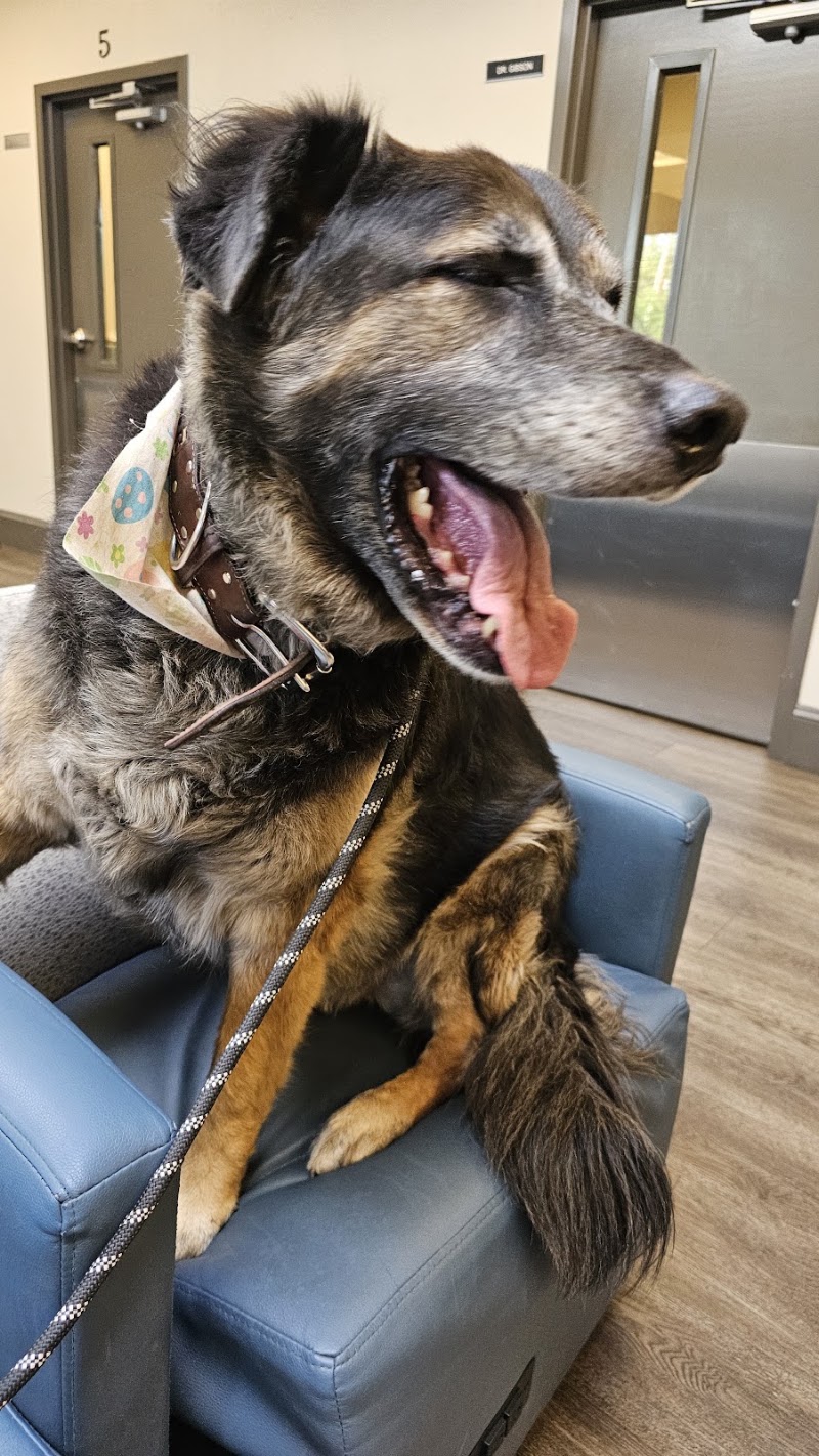 Cascade Veterinary Clinics: Wenatchee